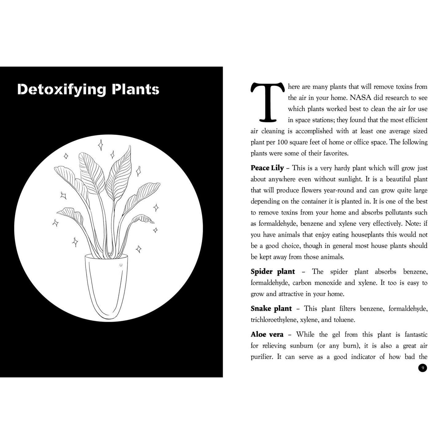 Detox your place: book & guide