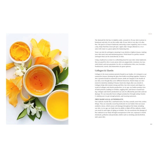 Wild Beauty: Wisdom & Recipes for Natural Self-care