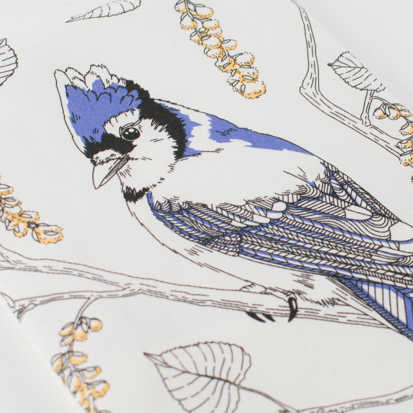 Blue Jay Tea Towel - West Coast Birds