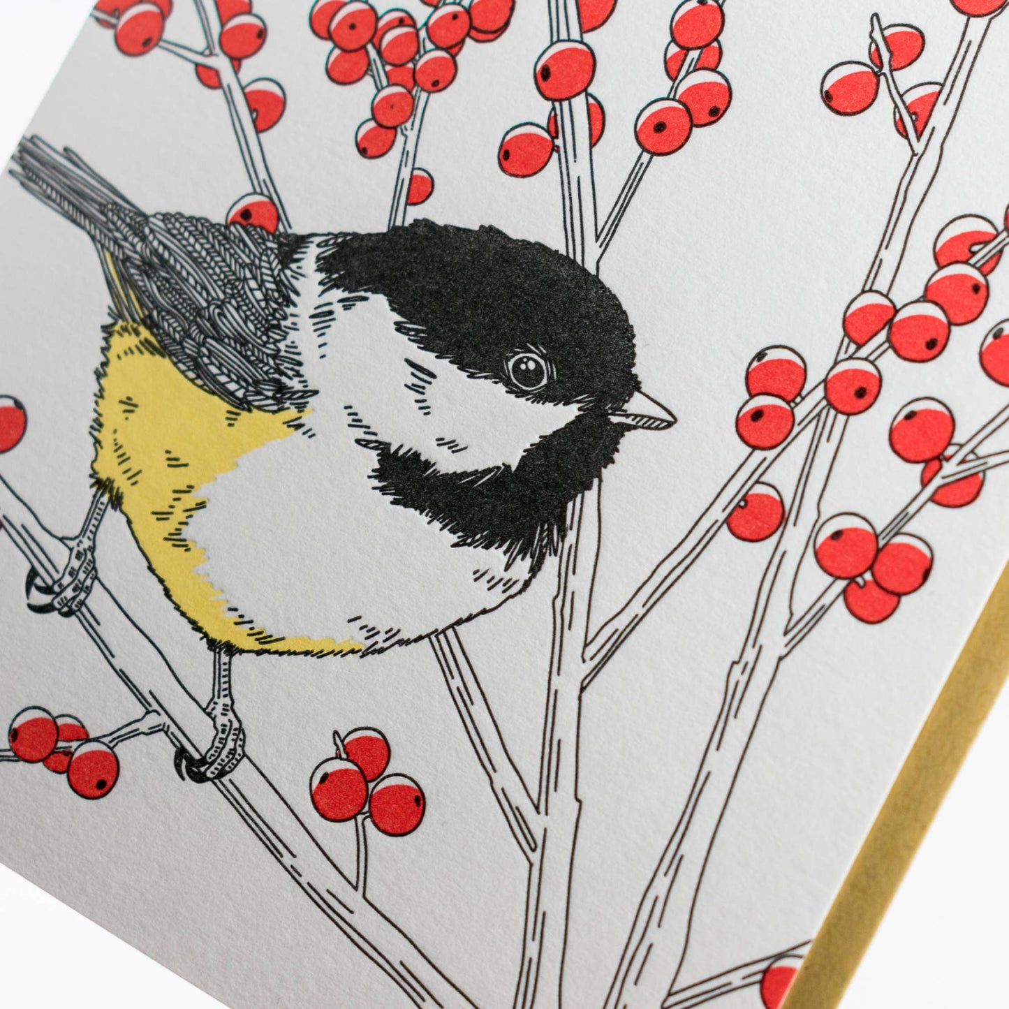 Black-capped Chickadee Card